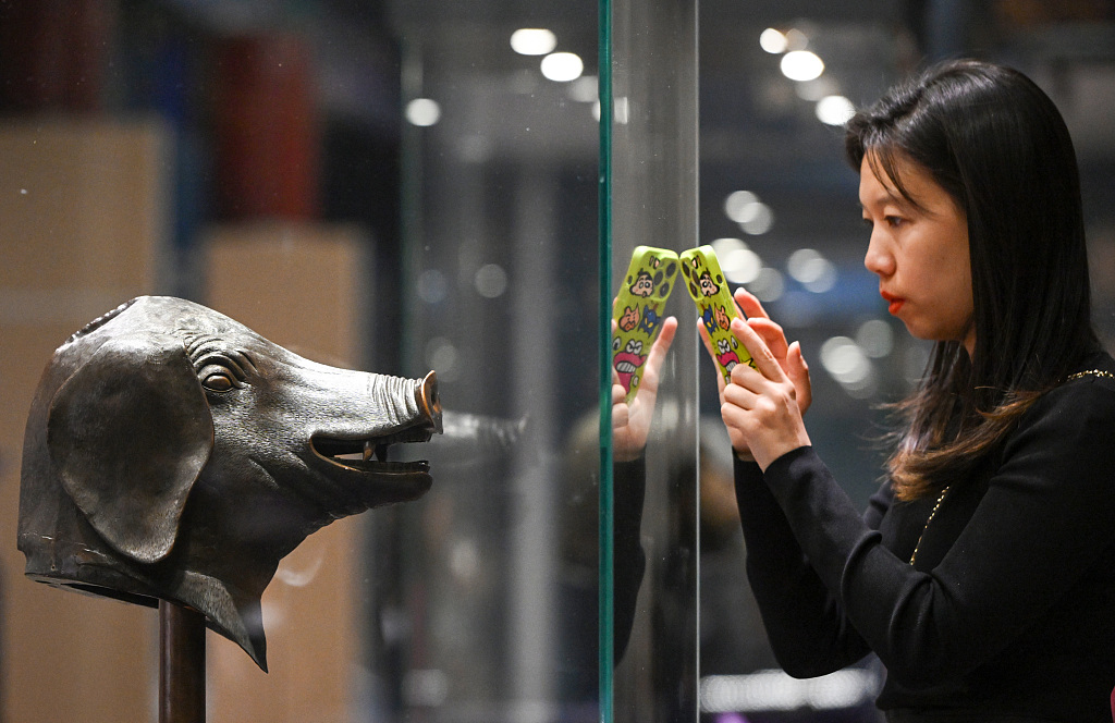 A visitor takes a photo of the bronze pig head sculpture displayed at Yuanmingyuan, Beijing, October 20, 2023. /CFP