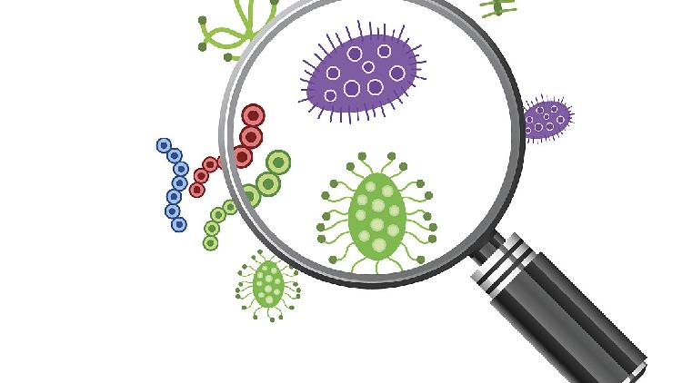 China mulls revising infectious disease prevention and control law - CGTN