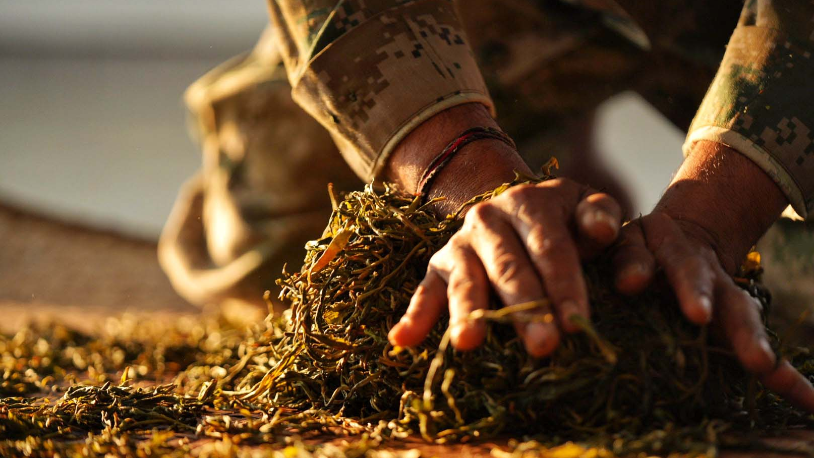 The production process of Pu'er tea