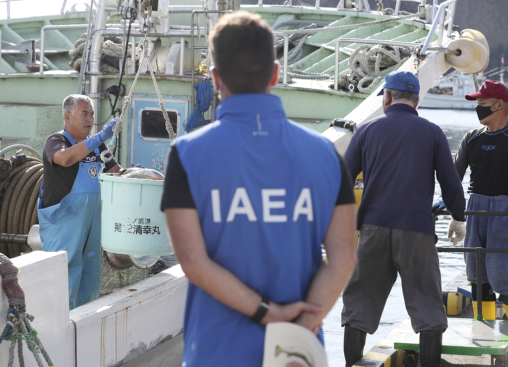 International Atomic Energy Agency (IAEA) officials inspect a landing of seafood sampled for inspection in Iwaki City, Fukushima Prefecture, Japan, October 19, 2023. /CFP