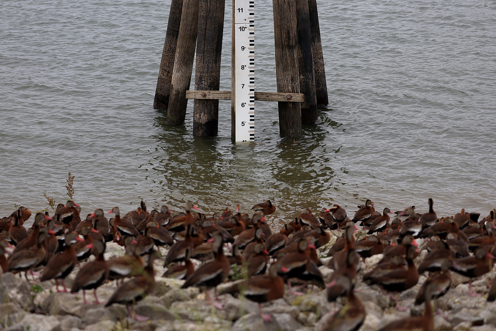 A water depth gauge stands in the Mississippi River in New Orleans, Louisiana, U.S., October 12, 2023. /CFP