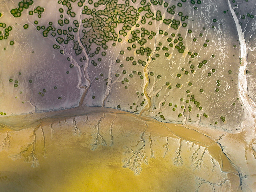 An aerial photo taken on October 22, 2023, near the Jiashao Bridge in Huangwan Town, Haining City, Zhejiang Province, shows the breathtaking view that emerged on the tidal flats of the Qiantang River. /CFP