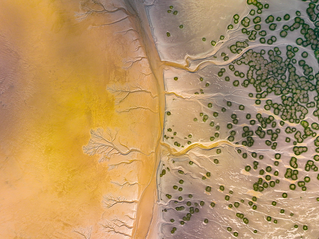 An aerial photo taken on October 22, 2023, near the Jiashao Bridge in Huangwan Town, Haining City, Zhejiang Province, shows the breathtaking view that emerged on the tidal flats of the Qiantang River. /CFP