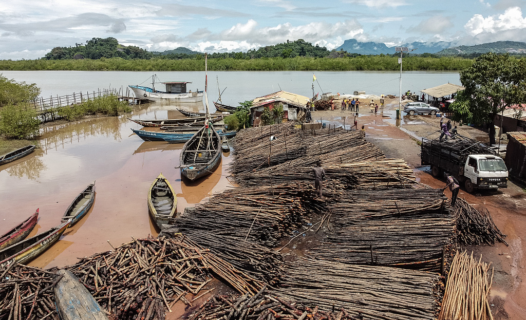 A view of a harbor with Mangroves, September 20, 2023. /CFP