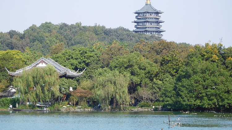 その他 SCENIC SPLENDOR OF CHINA 3ae5be1b5eeb492281ecc493090eb5