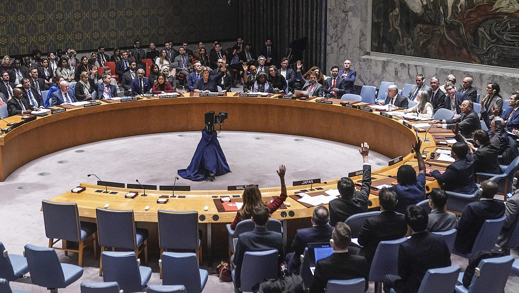 UN Security Council vote on a UN Security Council draft resolution regarding the conflict between Israel and Palestine at UN headquarters, New York, October 25, 2023. /CFP