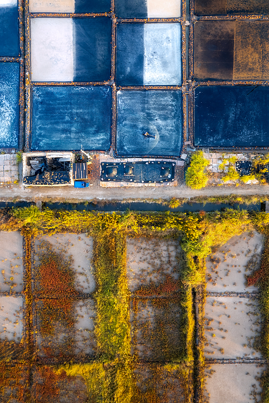 A farmer works in a salt farm in Ningbo, Zhejiang Province, October 24, 2023. /CFP