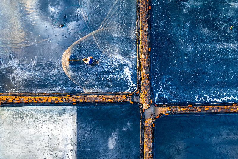 A farmer works in a salt farm in Ningbo, Zhejiang Province, October 24, 2023. /CFP