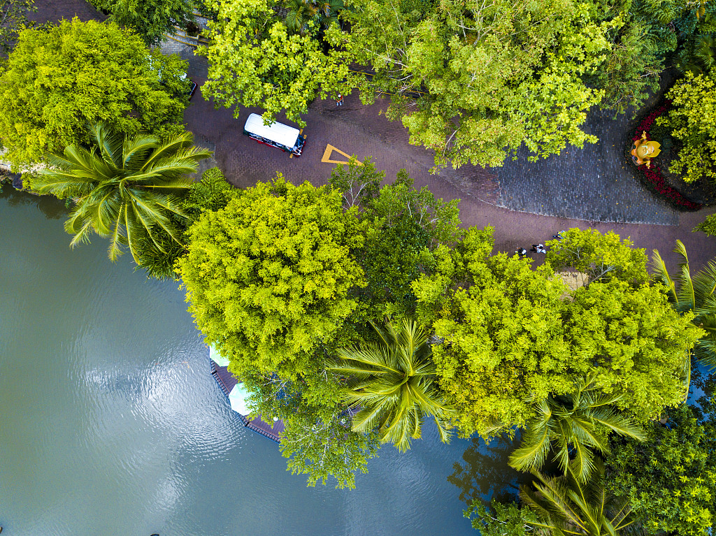 An aerial view of a lane in south China's Hainan Tropical Rainforest National Park /CFP