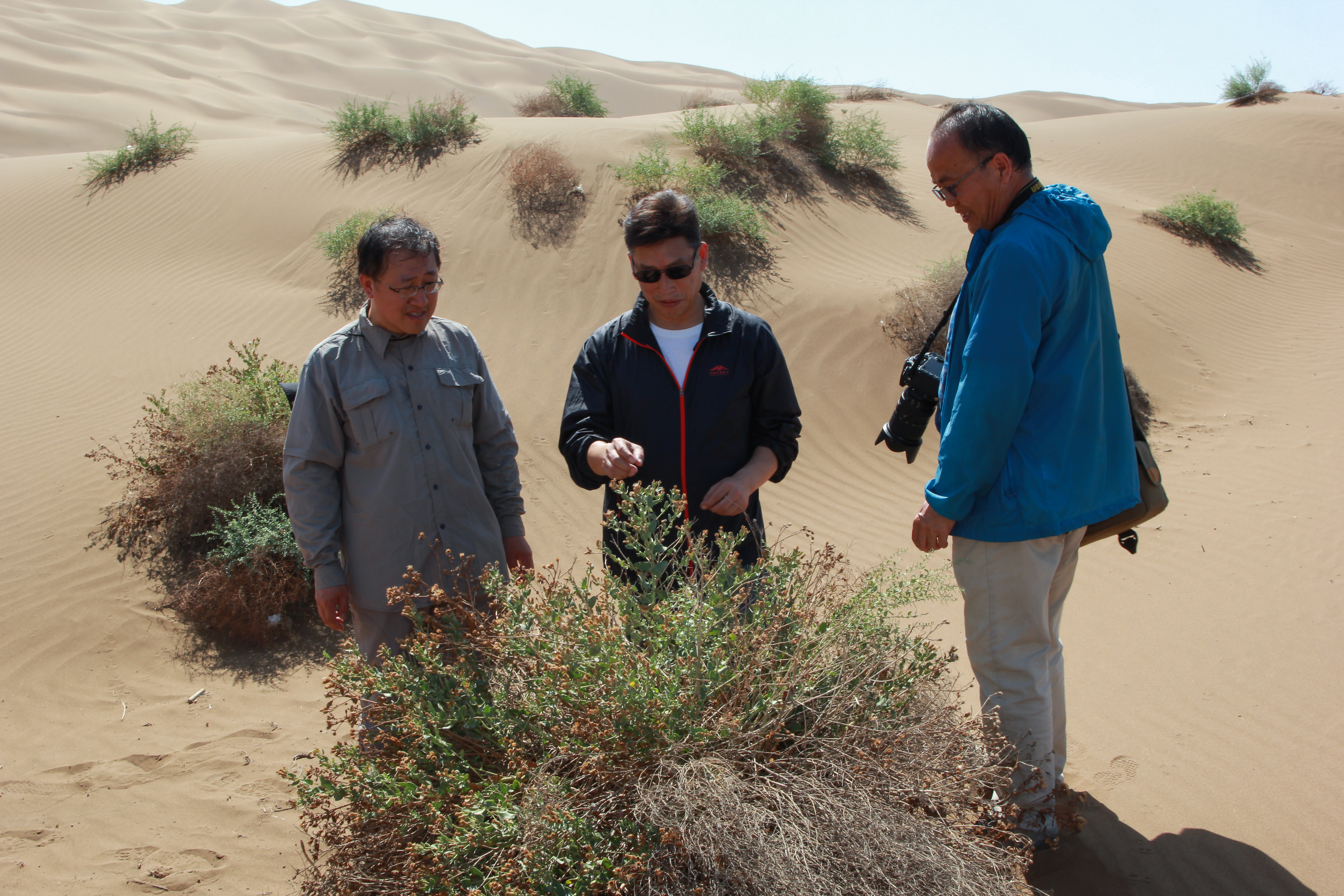 Lei Jiaqiang (C) and his colleagues in Kumtag Desert in Shanshan County, northwest China's Xinjiang Uygur Autonomous Region, September 4, 2017. /Courtesy of Lei Jiaqiang