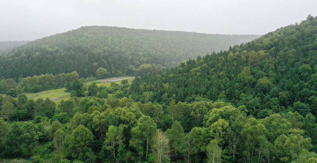 A view of the Northeast China Tiger and Leopard National Park /CFP