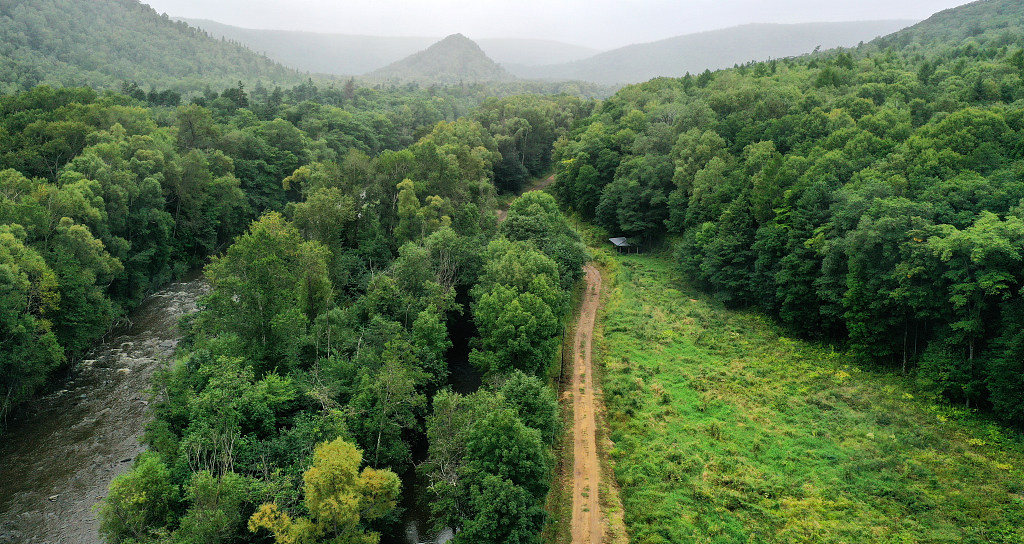 A view of the Northeast China Tiger and Leopard National Park /CFP