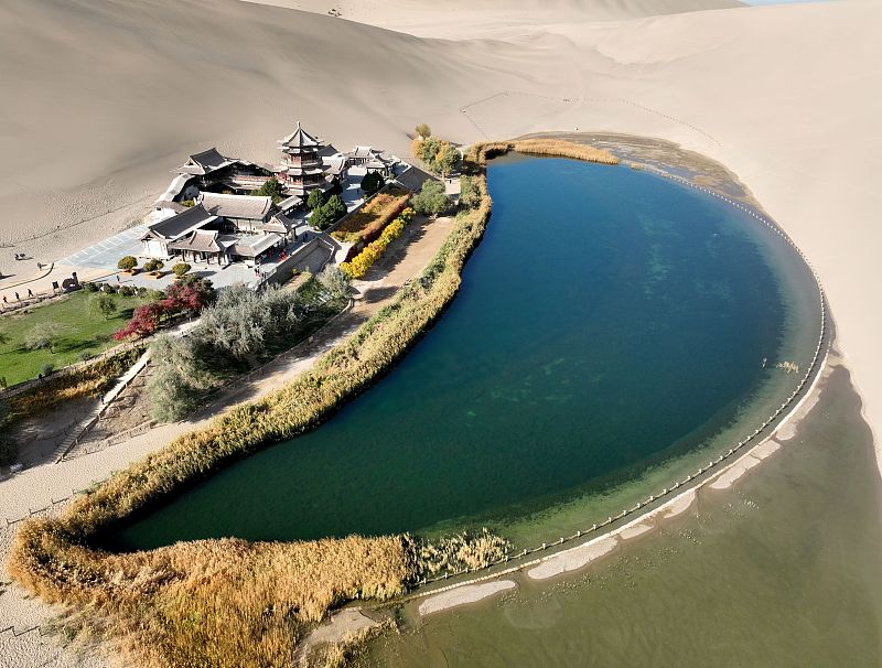 The green oasis showcases the autumnal beauty of the Mingsha Mountain Crescent Spring Scenic Area in Dunhuang City, Gansu Province, October 28, 2023. /CFP