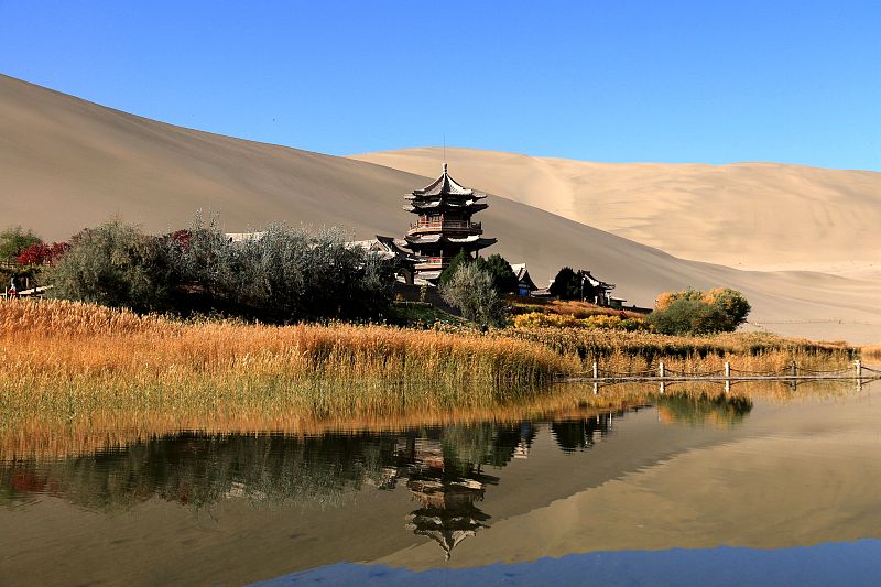 The crystal clear waters reflect the natural beauty of the Mingsha Mountain Crescent Spring Scenic Area in Dunhuang City, Gansu Province, October 28, 2023. /CFP