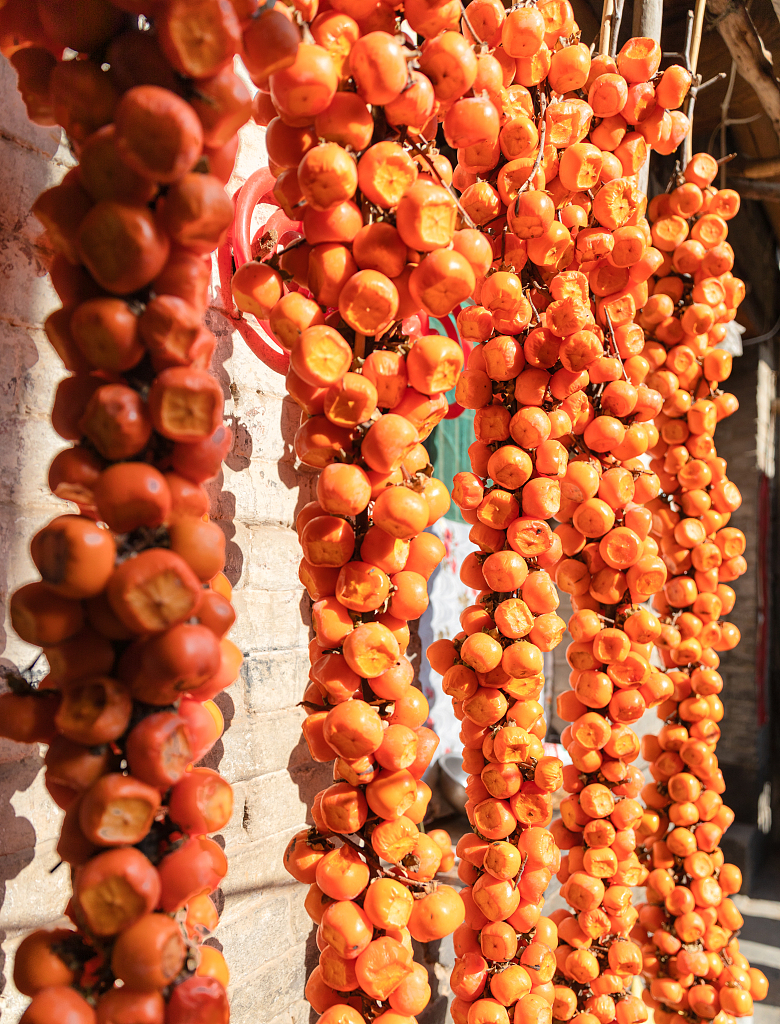 A photo shows persimmons hanging in a yard in Jincheng, Shanxi Province. /CFP