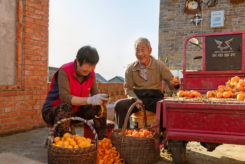 A photo shows farmers peeling persimmons in Jincheng, Shanxi Province. /CFP