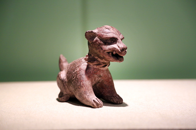 An ancient Mexican ceramic statue of a jaguar is on display at the Liaoning Provincial Museum, in Shenyang City, Liaoning Province, October 26, 2023. /CFP