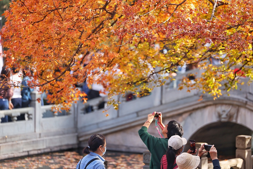 Tourists enjoy autumn sceneries in Beijing on October 30, 2023. /CFP