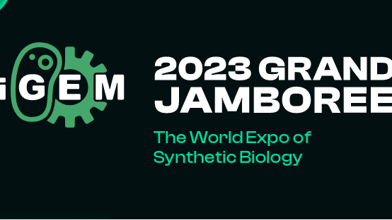 The logo of the International Genetically Engineered Machine Competition. /International Genetically Engineered Machine Competition