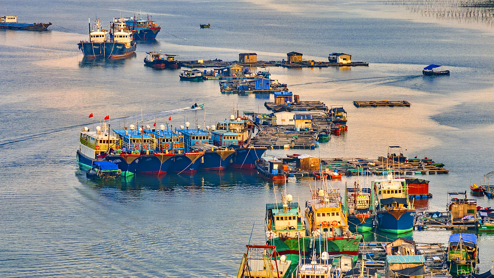 Busy port in Maoming, China's Guangdong Province, November 6, 2023. /CFP