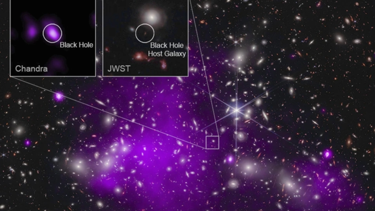 This annotated image provided by NASA on Monday, November 6, 2023, shows a composite view of data from NASA's Chandra X-ray Observatory and James Webb Space Telescope indicating a growing black hole just 470 million years after the big bang. It is the oldest black hole yet discovered. 