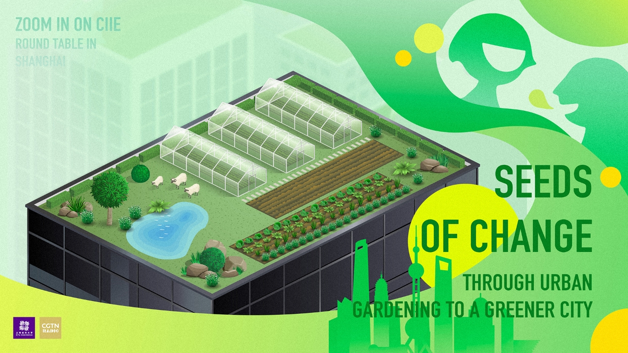 Watch: Seeds of Change – Through urban gardening to a greener city