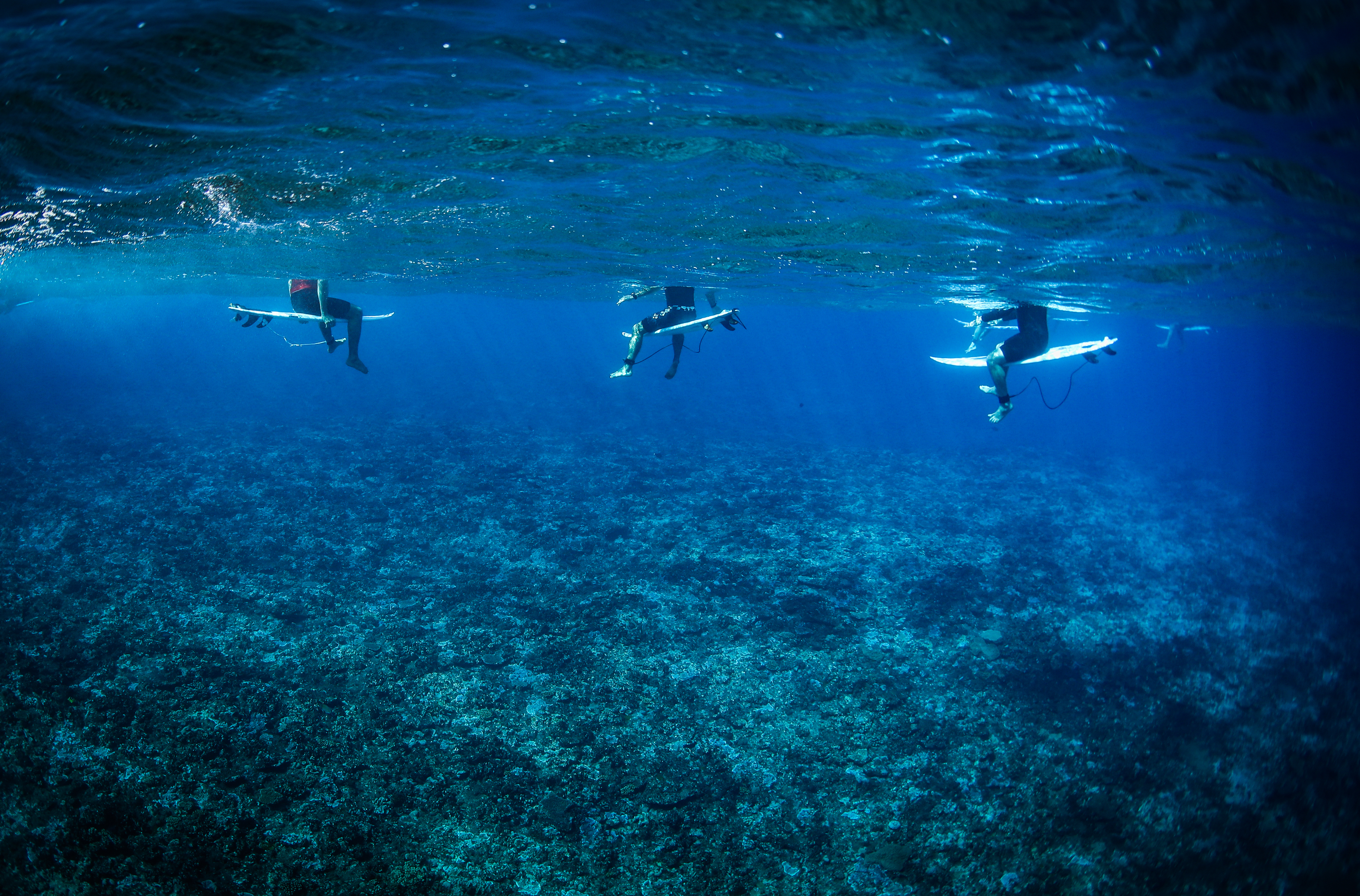An underwater view of surfers floating on their boards above the coral reef during the Shiseido Tahiti Pro in Teahupo'o, Tahiti, French Polynesia, August 11, 2023. /CFP