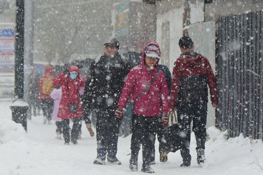 Northeast China's Heilongjiang sees heavy snows on November 9, 2023. /CFP