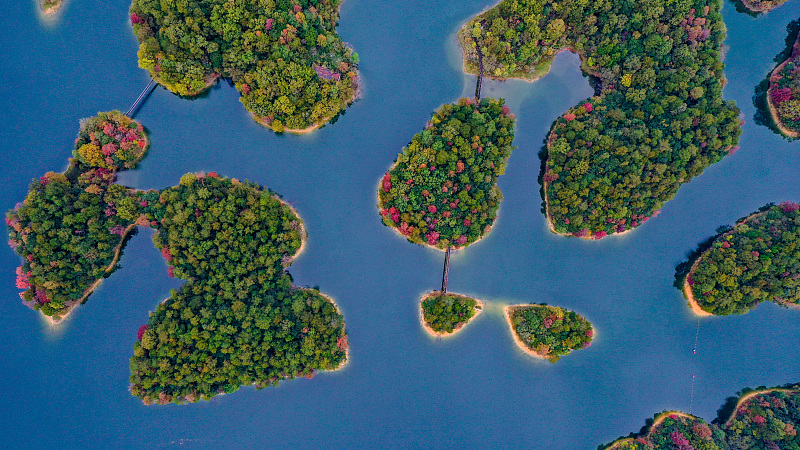 A total of 1,078 islets of various shapes dot the blue waters of Thousand Island Lake in Hangzhou City, Zhejiang Province, November 11, 2023. /CFP