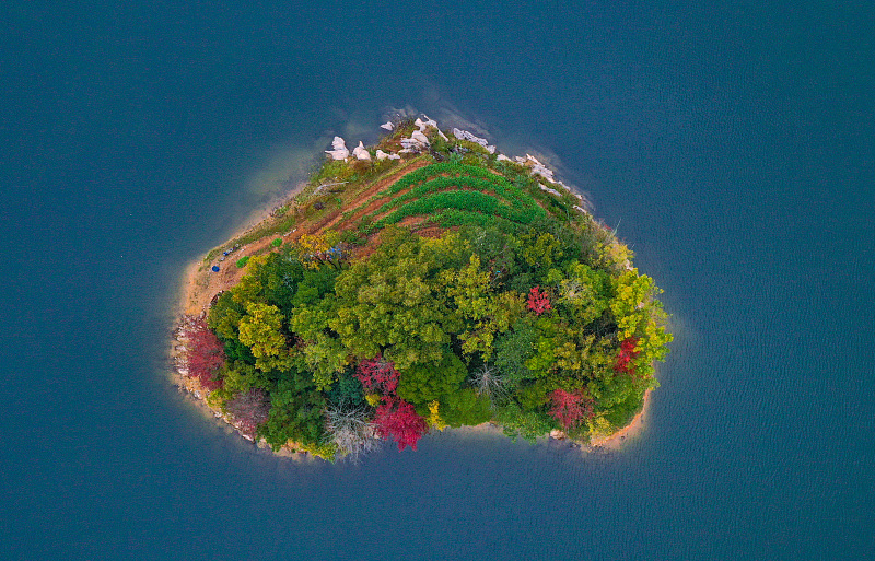 A total of 1,078 islets of various shapes dot the blue waters of Thousand Island Lake in Hangzhou City, Zhejiang Province, November 11, 2023. /CFP