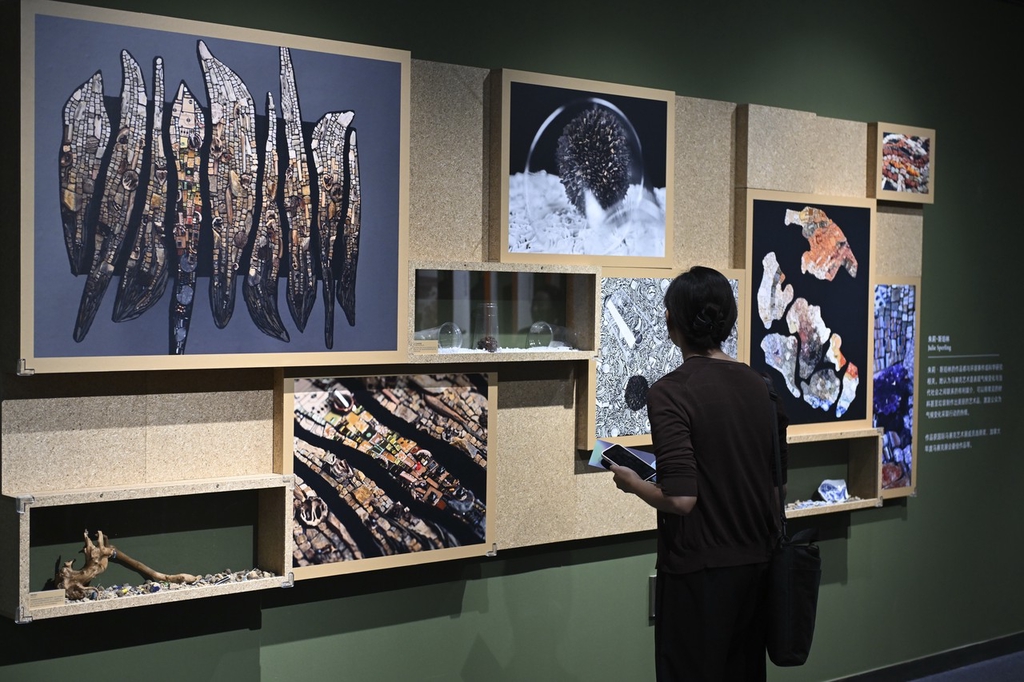 A photo shows a visitor viewing a display at the science art exhibition at the National Natural History Museum of China in Beijing. /IC