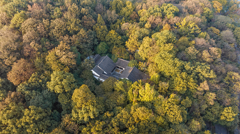 Surrounded by colorful trees, the West Lake presents stunning views from every angle, in Hangzhou City, Zhejiang Province. /CFP