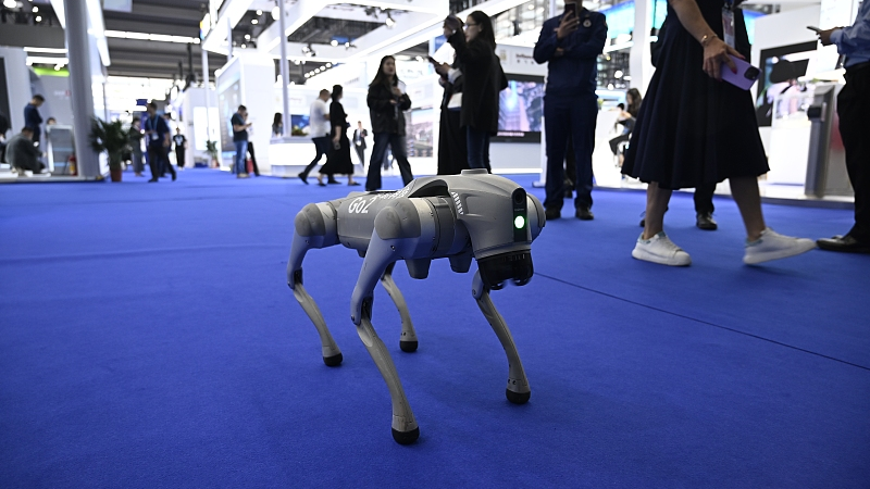 A four-legged robotic dog executes a slew of movements at the 25th China Hi-Tech Fair, November 15, 2023. /CFP