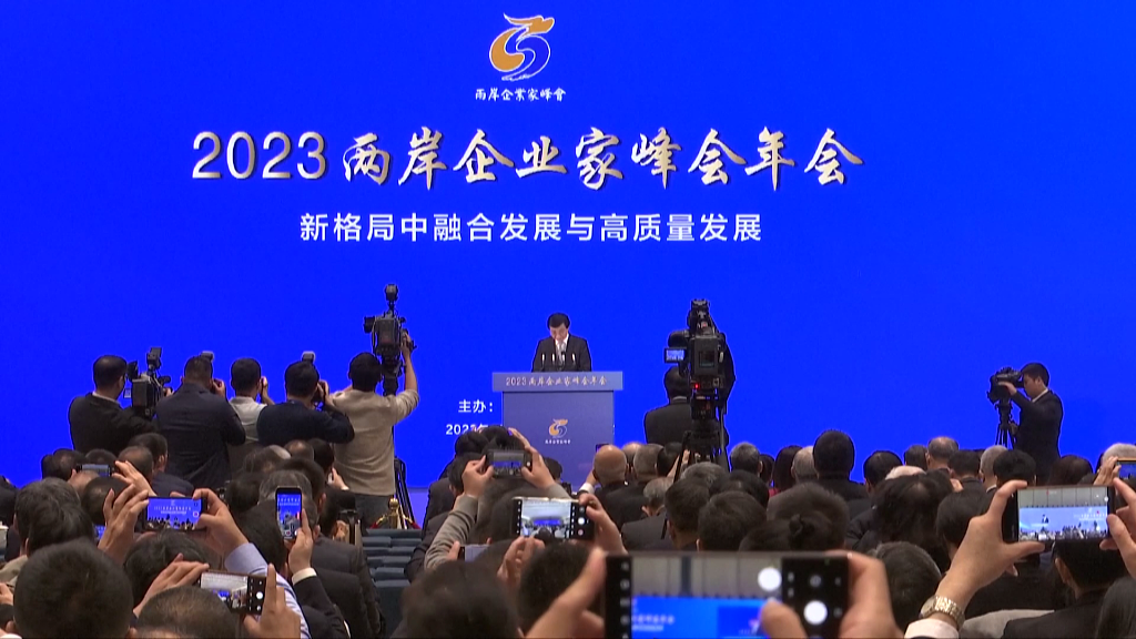 Participants and media taking photos at the annual meeting of the 2023 Cross-Straits CEO Summit, in Nanjing, east China's Jiangsu Province, November 14, 2023. /CFP