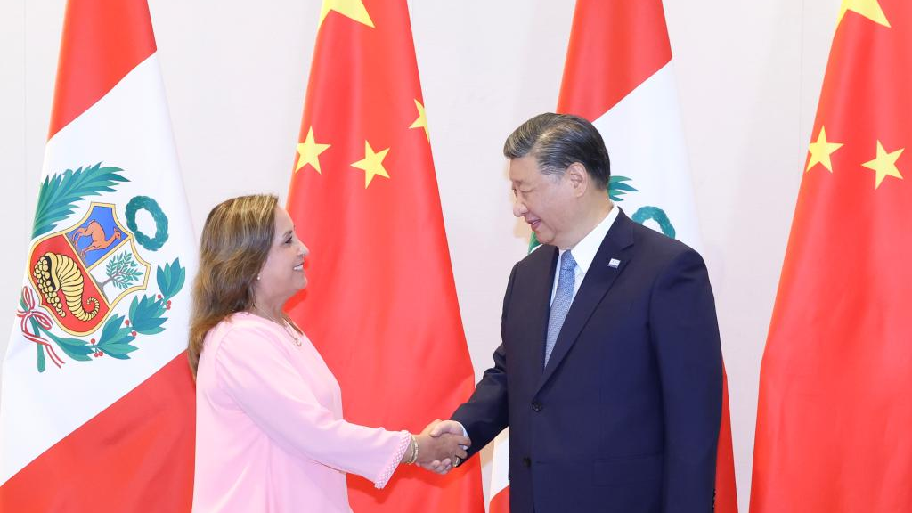 Chinese President Xi Jinping meets with Peruvian President Dina Boluarte in San Francisco, the United States, November 16, 2023. /Xinhua