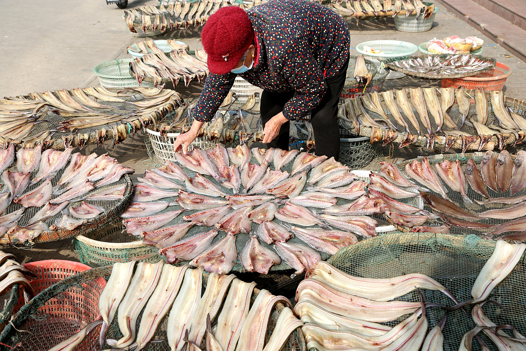 Photo taken on November 16, 2023 shows a woman sun-drying fish in Lianyungang, east China's Jiangsu Province. /CFP