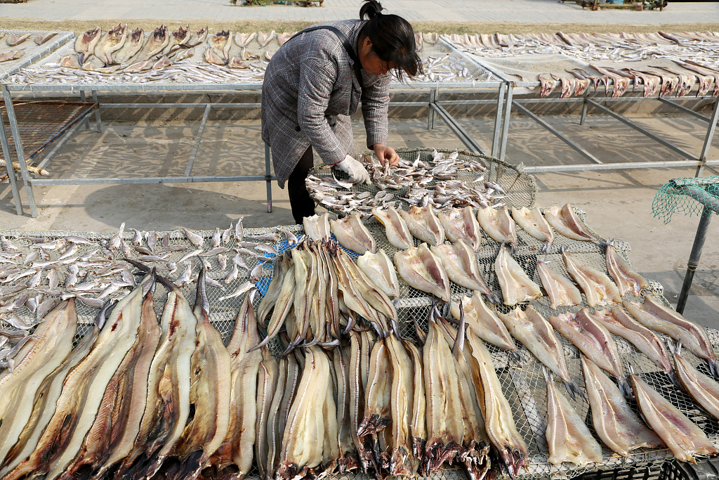 Photo taken on November 16, 2023 shows a woman sun-drying fish in Lianyungang, east China's Jiangsu Province. /CFP