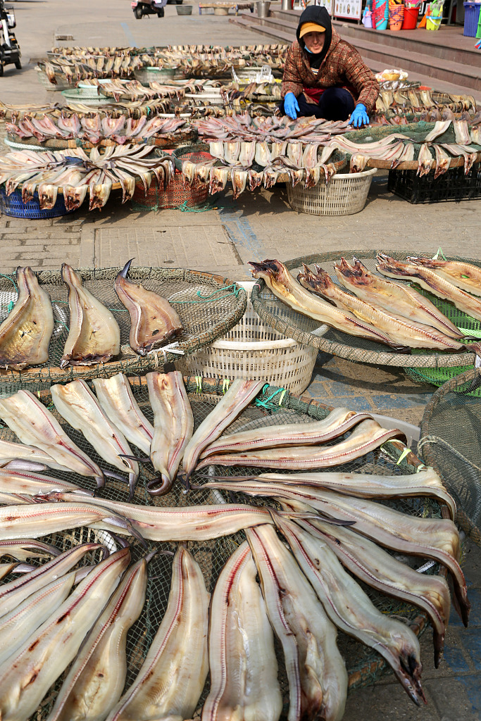 Photo taken on November 16, 2023 shows a woman sun-drying fish in Lianyungang, east China's Jiangsu Province. /CFP