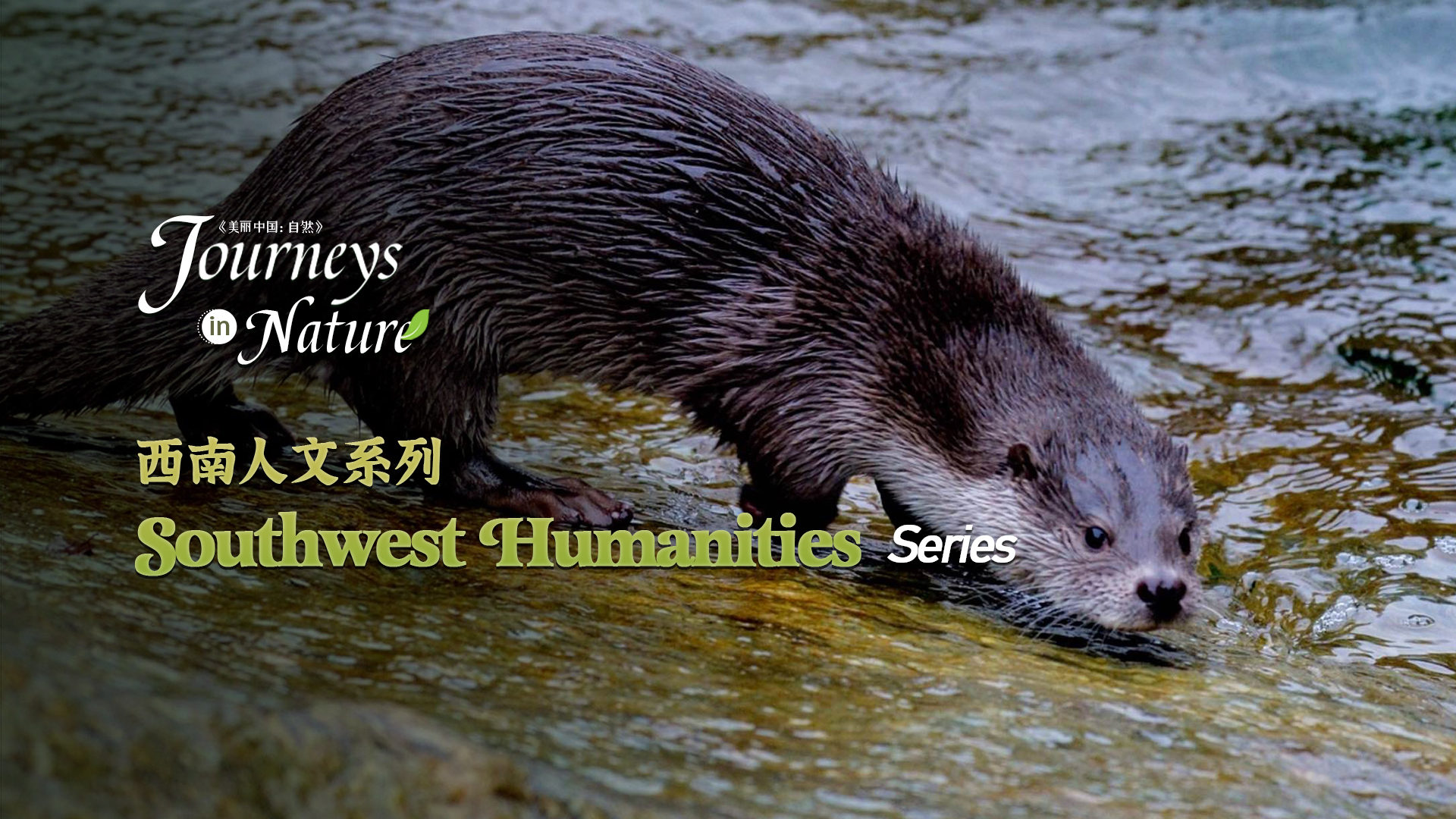 CGTN Nature presents 'Journeys in Nature: Southwest Humanities Series'