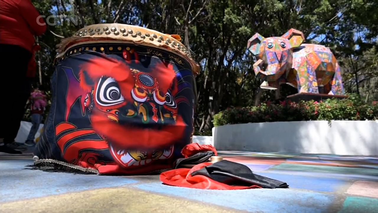 A drum used by the Xinkuan Shi dance troupe to practice and perform in Mexico City. /CGTN