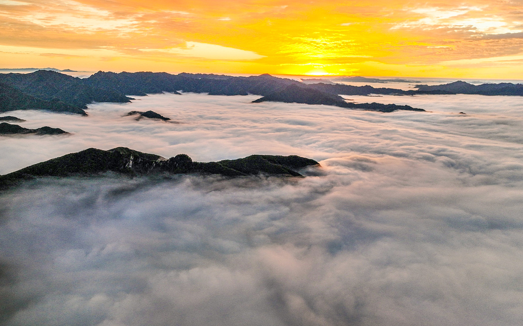 A sea of clouds in Niubeiliang National Nature Reserve in northwest China's Shaanxi Province. /CFP