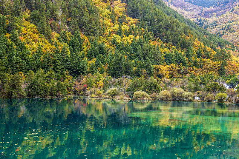 Situated in the north of Sichuan Province, the Jiuzhai Valley is famous for its colorful scenery throughout the seasons, as seen in this photo taken on October 27, 2023. /CFP