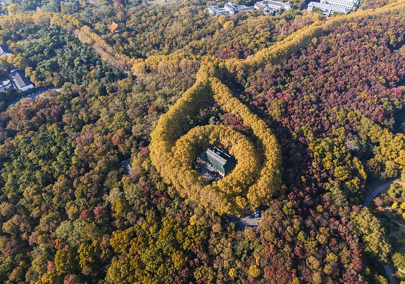 Trees and shrubs form the shape of a necklace around the Meiling Palace in Nanjing City, Jiangsu Province, as seen in this aerial photo taken on November 19, 2023. /CFP