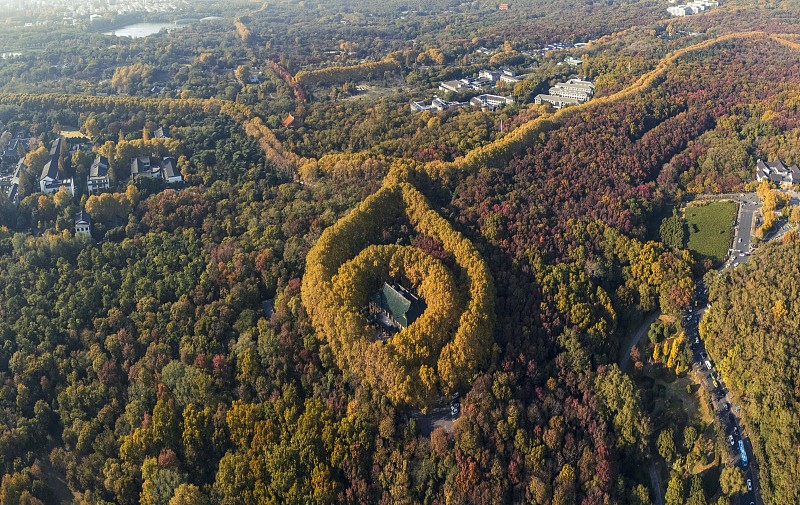 Trees and shrubs form the shape of a necklace around the Meiling Palace in Nanjing City, Jiangsu Province, as seen in this aerial photo taken on November 19, 2023. /CFP