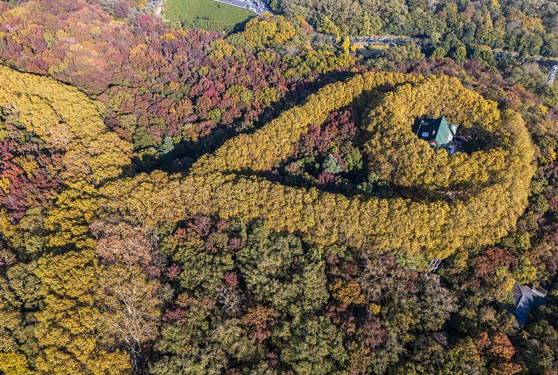 Trees and shrubs form the shape of a necklace around the Meiling Palace in Nanjing City, Jiangsu Province, as seen in this aerial photo taken on November 19, 2023. /CFP