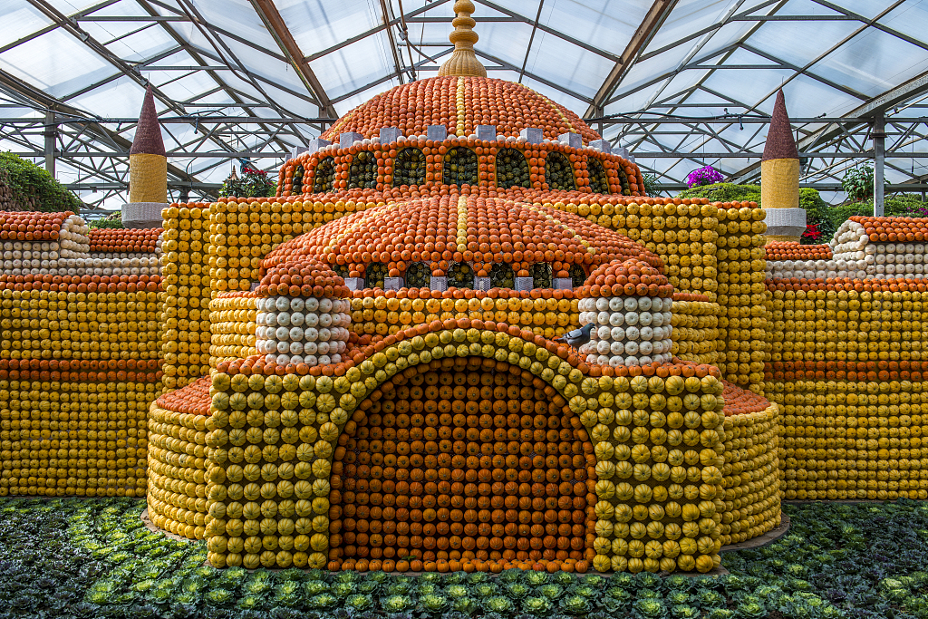 A view of Shouguang Vegetable Museum in east China's Shandong Province /CFP