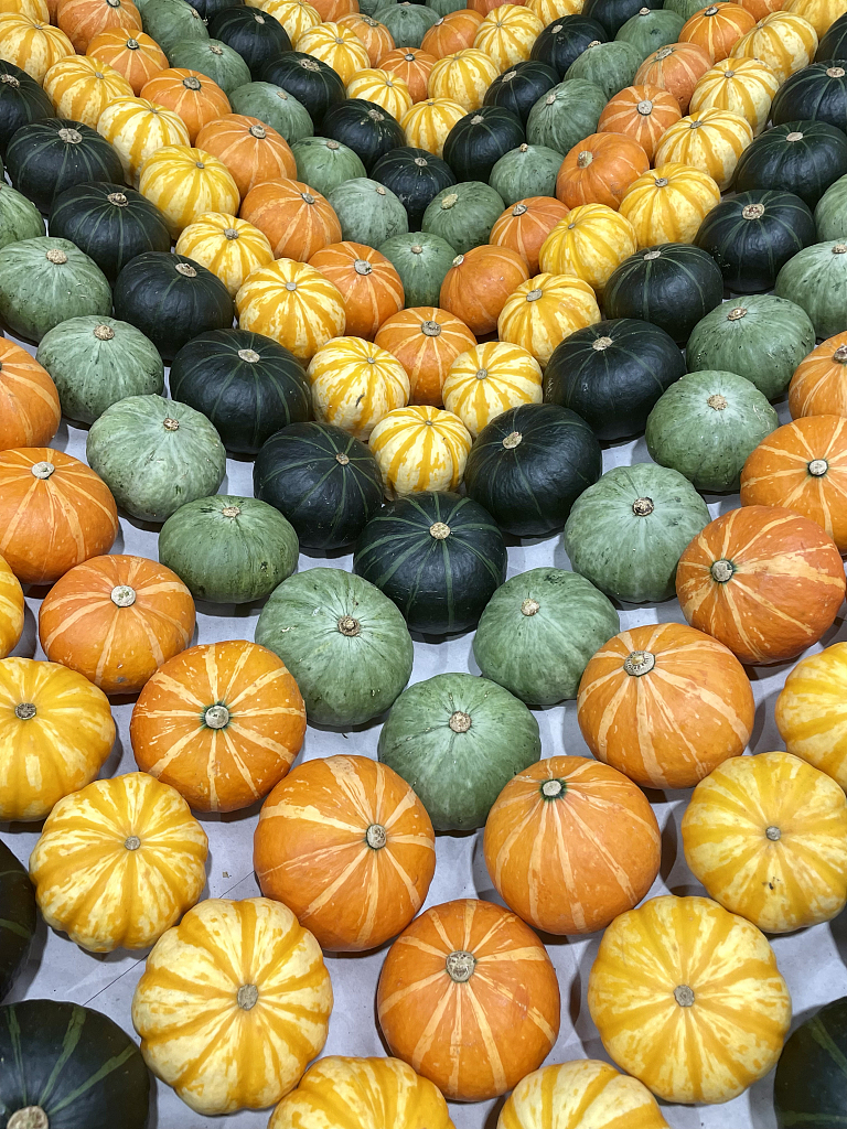Pumpkins produced in Shouguang, east China's Shandong Province /CFP