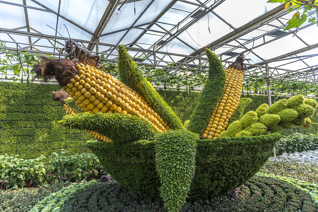 A view of Shouguang Vegetable Museum in east China's Shandong Province /CFP