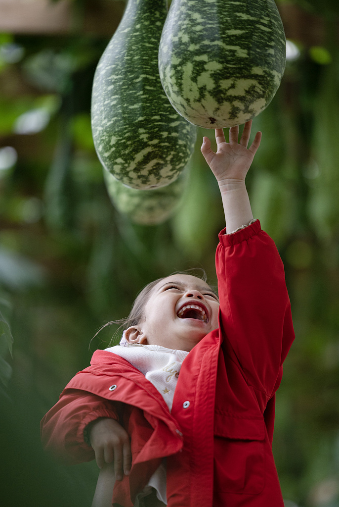 A child visits the 24th China (Shouguang) International Vegetable Sci-Tech Fair in east China's Shandong Province on April 23, 2023. /CFP