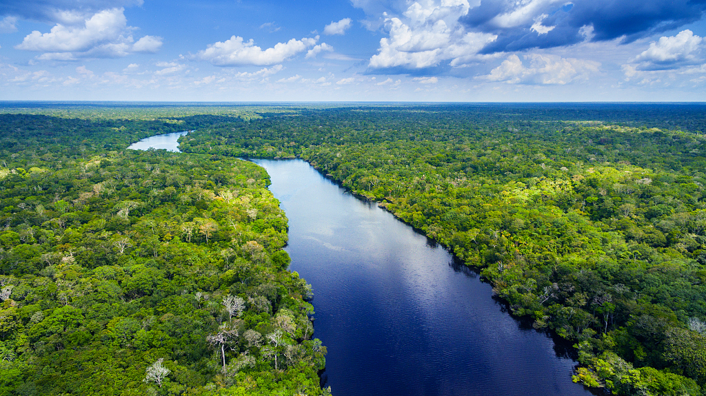 Rainforests along the Amazon River. /CFP